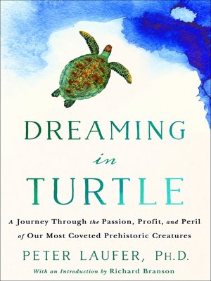 cover image of Dreaming in Turtle